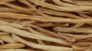 Benefits of Shatavari - Matritva.care