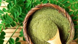 Remarkable Moringa Benefits for Women's Health and Beauty - Matritva.Care