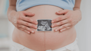 prenatal development - Matritva.care