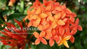 ashoka powder benefits