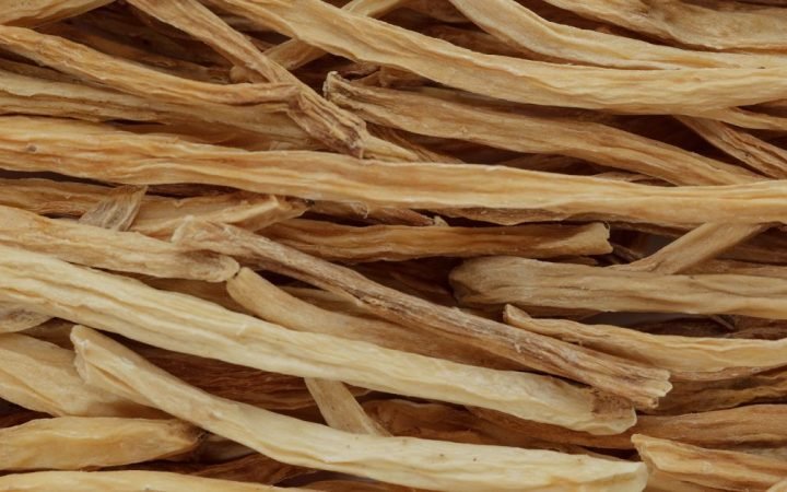 Benefits of Shatavari - Matritva.care