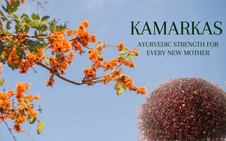Kamarkas Benefits