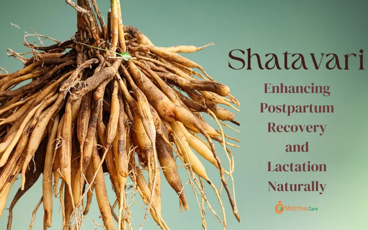 Shatavari