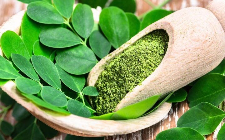 Surprising Benefits of Moringa - Matritva.care