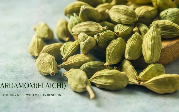 cardamom benefits