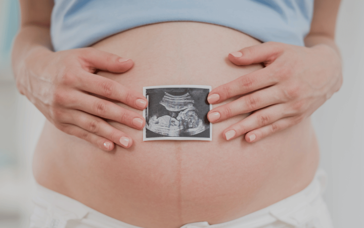 prenatal development - Matritva.care